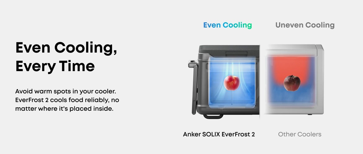 Anker SOLIX EverFrost 2 40L Electric Cooler - Gray